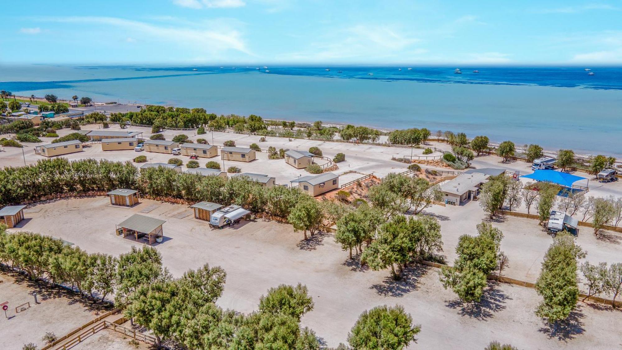 Tasman Holiday Parks - Denham Seaside Экстерьер фото